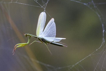 _DSC0753-2final_调整大小.jpg