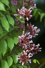 _DSC2949啊-5_调整大小.jpg