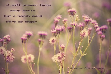 Proverbs 15:1