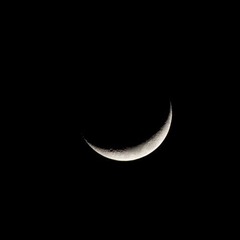 yearning-----take me to the moon