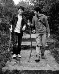 friendship