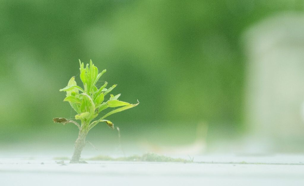 给生活一点希望，它会让你活的跟有意义