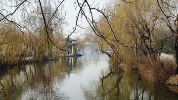 DSC07254a