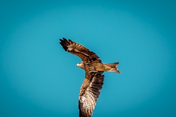 71F40ED6-6C07-493F-A59F-B906B2D3B6AA/L0/001