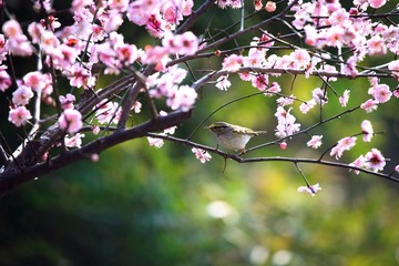 IMG_9825.jpg