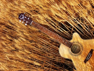DSCF2063.jpg