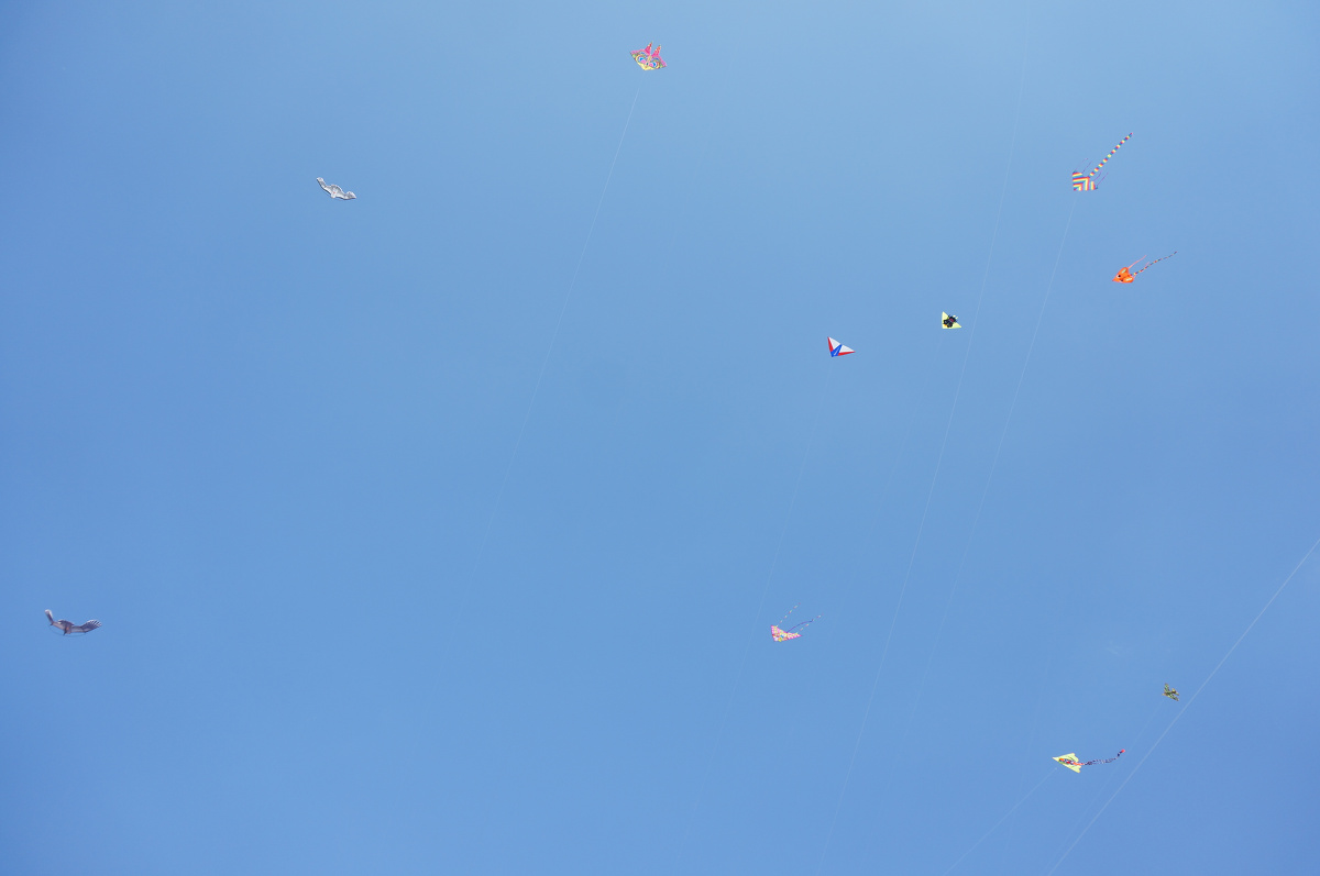 天上风筝在天上飞~地上人儿在地上追诶~