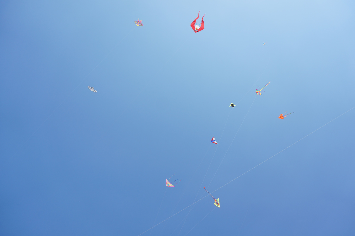 天上风筝在天上飞~地上人儿在地上追诶~