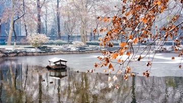 DSC04564-编辑.jpg