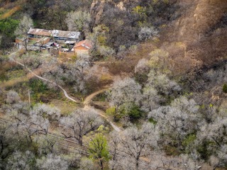 PA280453