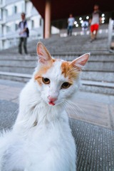 IMG_6464.jpg