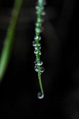 IMG_7263.jpg