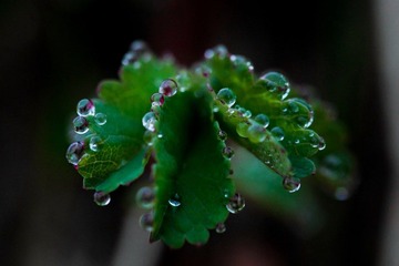IMG_7265.jpg