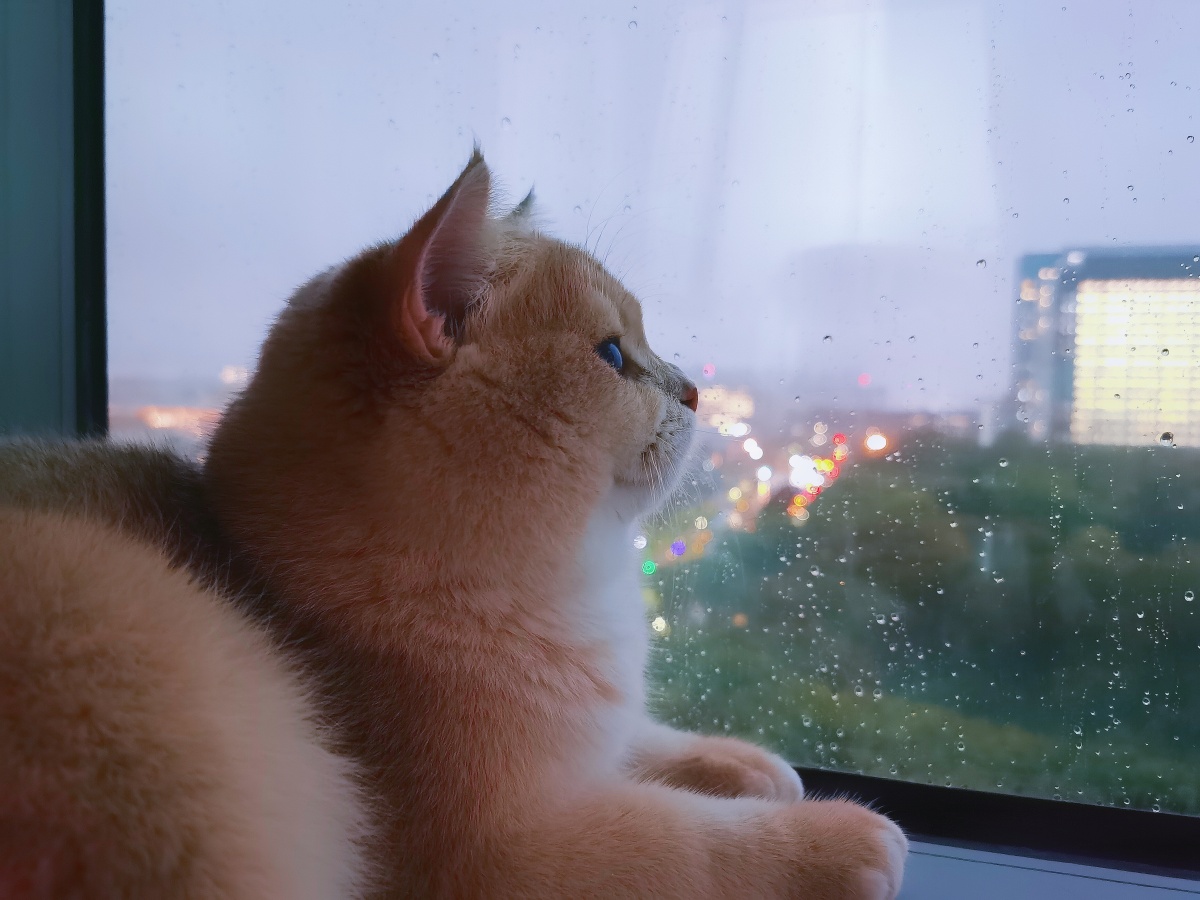 下雨了你在想着谁