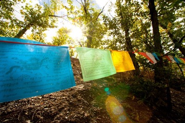 20110914-061.JPG