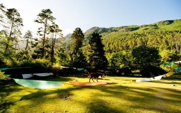 20110914-064.JPG