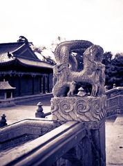 雕
