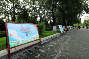 20110125-IMGP1939-编辑