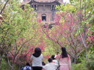 FD1686C5-F004-4284-9FF0-D49D417F96D9/L0/001