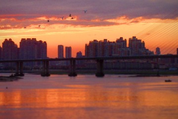 F5A88701-05FE-41C3-8353-1DBDAC13071C/L0/001