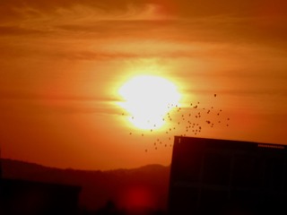 41C3DFB6-D2B1-44C2-B93F-20AA6B49997A/L0/001