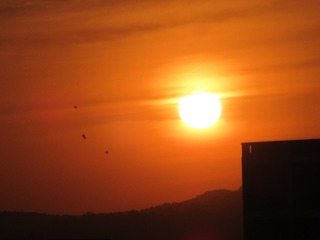 4A4E4944-121B-40F2-968D-D2B308283FA1/L0/001