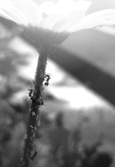 MA201407120017550095-00-030000000