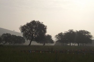 DSCF1440 - 