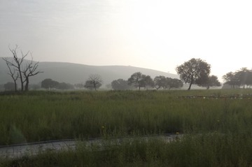 DSCF1441 - 