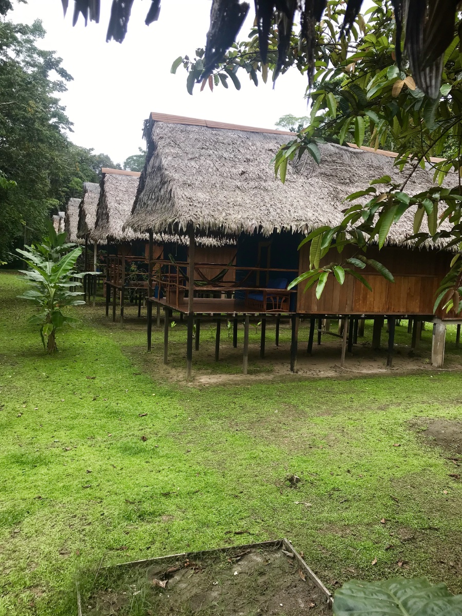 亚马逊热带雨林中的小木屋