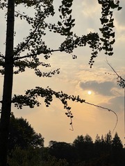 2B02108F-7681-4C61-9B62-6AB1615A8FCE/L0/001