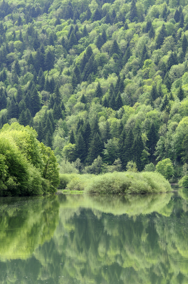 谢幕- [赵] - 图虫