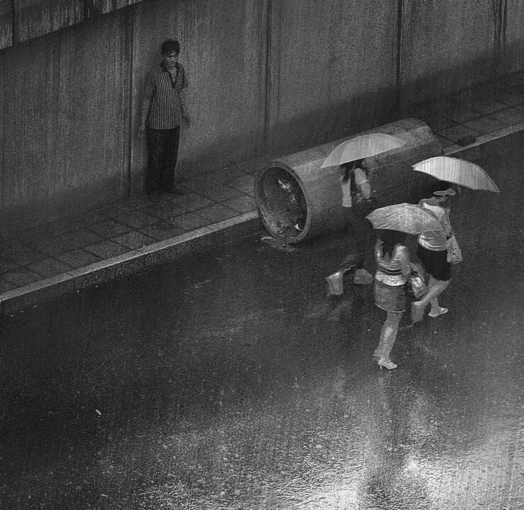 在雨中......<br />
