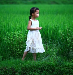 我家就在小山村9