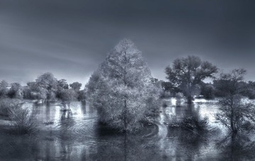 IMG_6758r