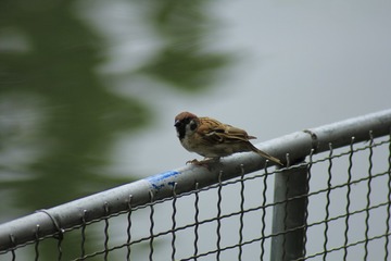 IMG_9078d1200