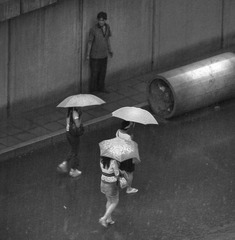 在雨中.......