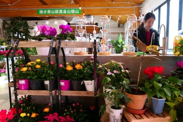 长老4