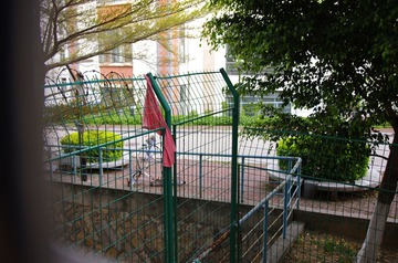IMGP0245_2