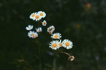1504395