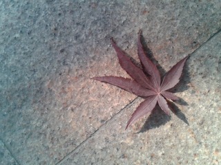 130_2012100215170000_2012-10-02 15.17.58