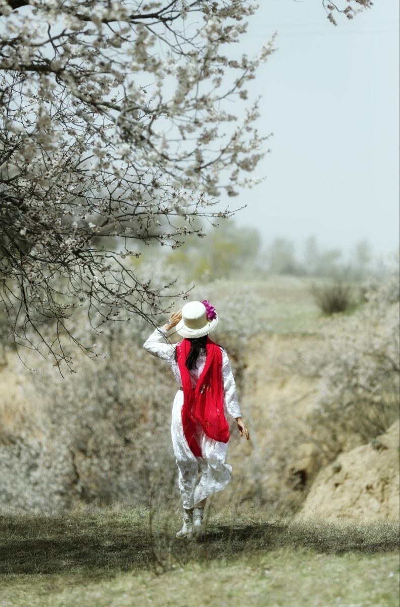 杏花树下的女子