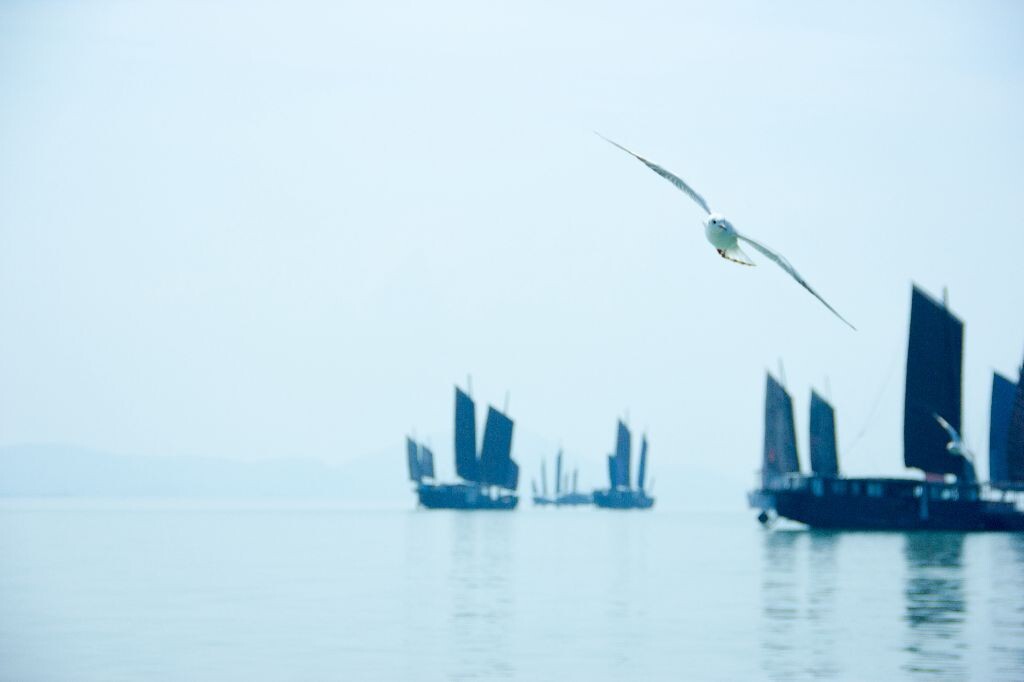 太湖从来没有这么美。看到无数鸟儿在船的背后追着我们跑，远处帆船点缀，P上这种色调，颇有诗意。