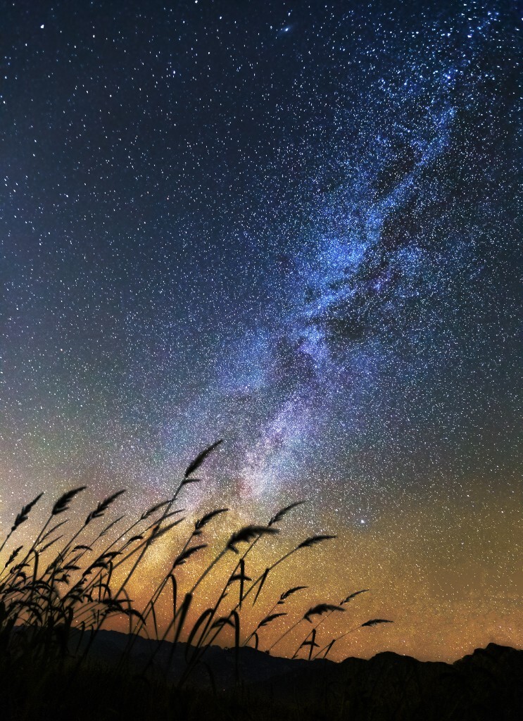 十月  心向光芒  <br />
银河朝着地平线缓慢落去，芦苇迎着星光，与它作一场浪漫的告别。