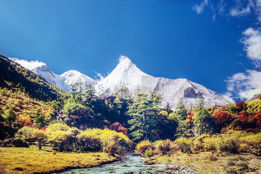 央迈勇之下除了金色的草甸，还有颜色丰富的秋林。当我淌过这条河流时，美景像油画一样出现在我眼前。