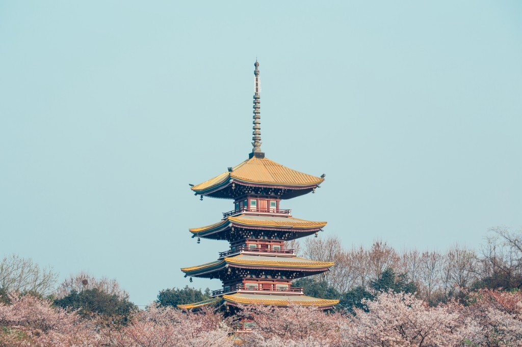 1.一次失败的赏樱之旅<br />
武汉。我也不知道我怎么就跑到武汉去了，还是一个人去的。本年度最蠢的一次旅行，樱花也快谢了，天气也不好，坐个黑车还被追尾了，订了酒店结果又没房，拍个照还得跟一大群大妈抢机位，这真是——哔。