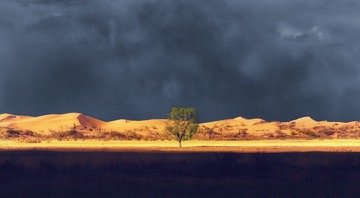 IMG_2562-4