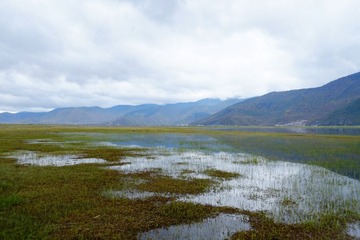 DSCF1932 (2)