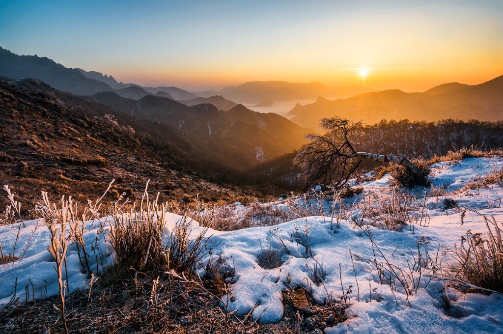 群山、云海、孤树、雪地——这样的一场日出，真的是在帝都看到的~