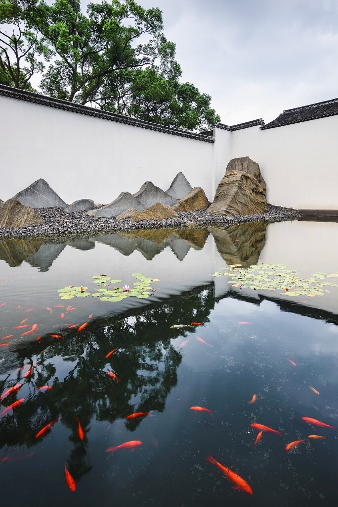 7月,苏州博物馆,鱼水性灵。